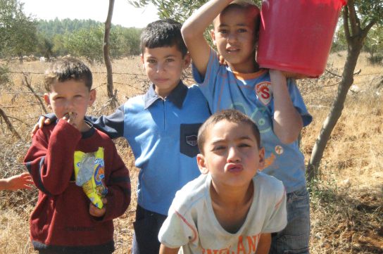 パレスチナオリーブ畑の子ども